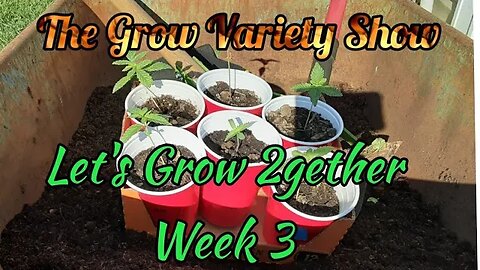 Let's Grow 2gether Week 3: 2 wks out the Shell!