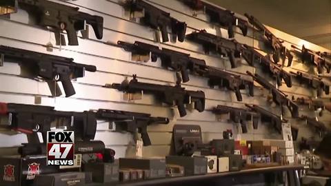 Michigan lawmakers ponder new gun legislation