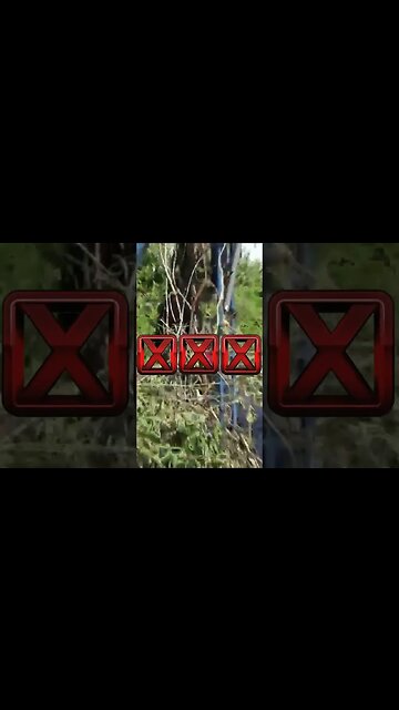 First Round Draft Pick?🤣 #shorts #youtubeshorts