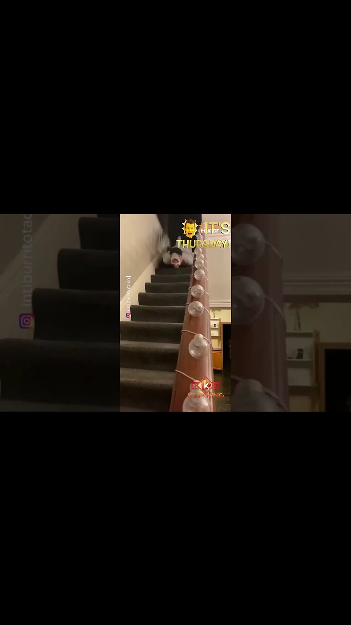 LOL! You WON'T Believe What Happens in This Epic Fail Video that's