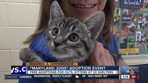 Maryland 2000 adoption event at 20 local shelters for the month of July