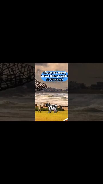Amazing facts about Uruguay South America | Learn Geography #shorts