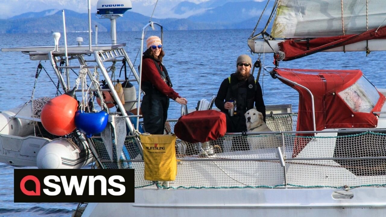 Canadian couple ditch normal life to live on a tiny 40ft boat