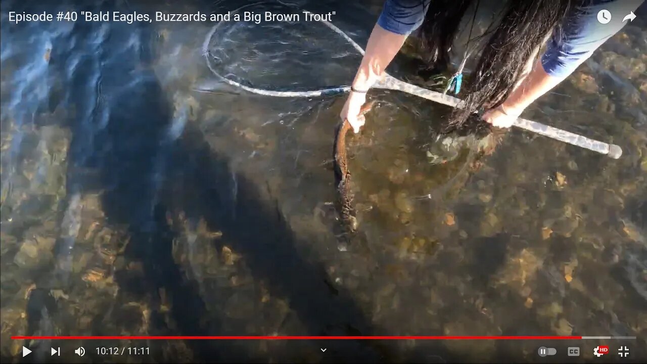 Episode #40 "Bald Eagles, Buzzards and a Big Brown Trout"