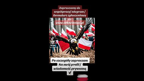 Zapraszamy do współpracy 🇵🇱🦅