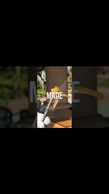 GOLDEN Ticket Event on NOW! Chat with us at NugSmasher.com Rosin Made Simple© Use code: RYANSDEAL