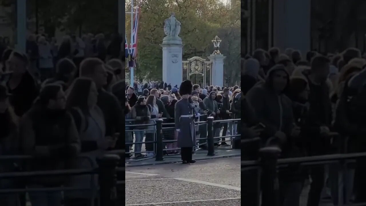 Guard shouts South African state visit #buckinghampalace