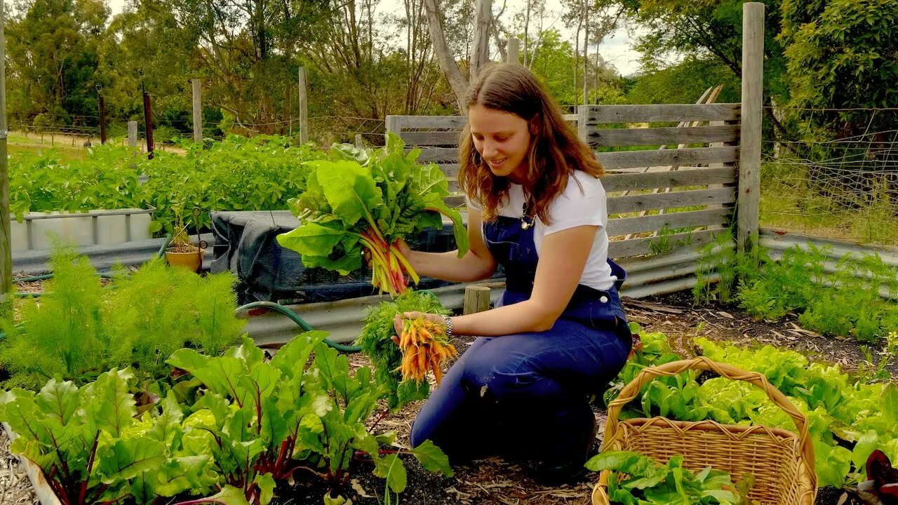 Spring Garden TIMELAPSE plus wild asparagus harvest - Free Range Homestead Ep 26