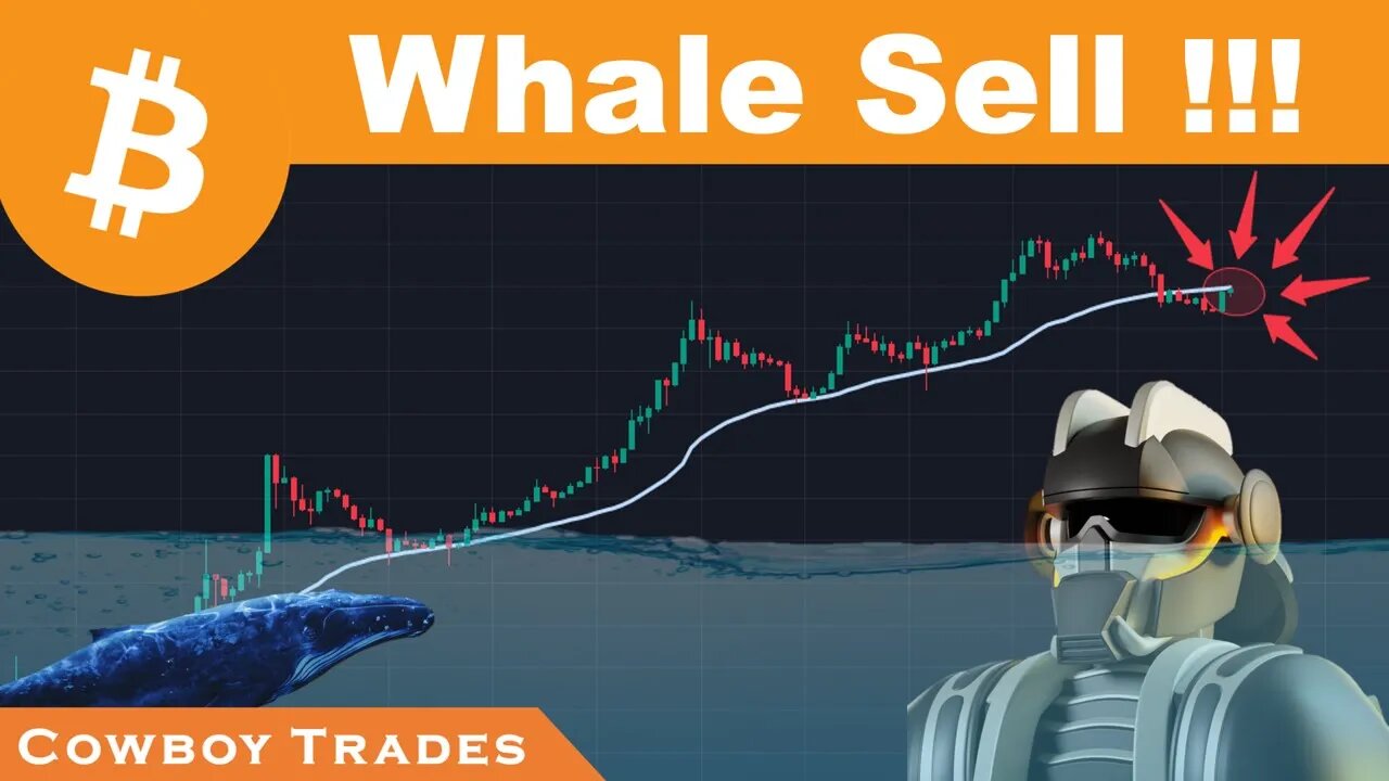 Bitcoin Whales Sell Into Key Resistance !!!