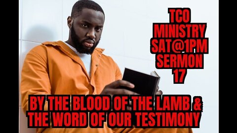 SERMON 17 BY THE BLOOD OF THE LAMB