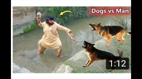 Dog vs man fight funny moments 🤣🤣