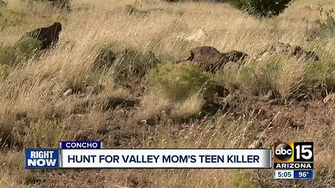 Authorities continue search for accused teenage killer