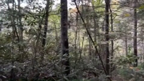 27 * Live Bigfoot Investigation! Squatch Watchers