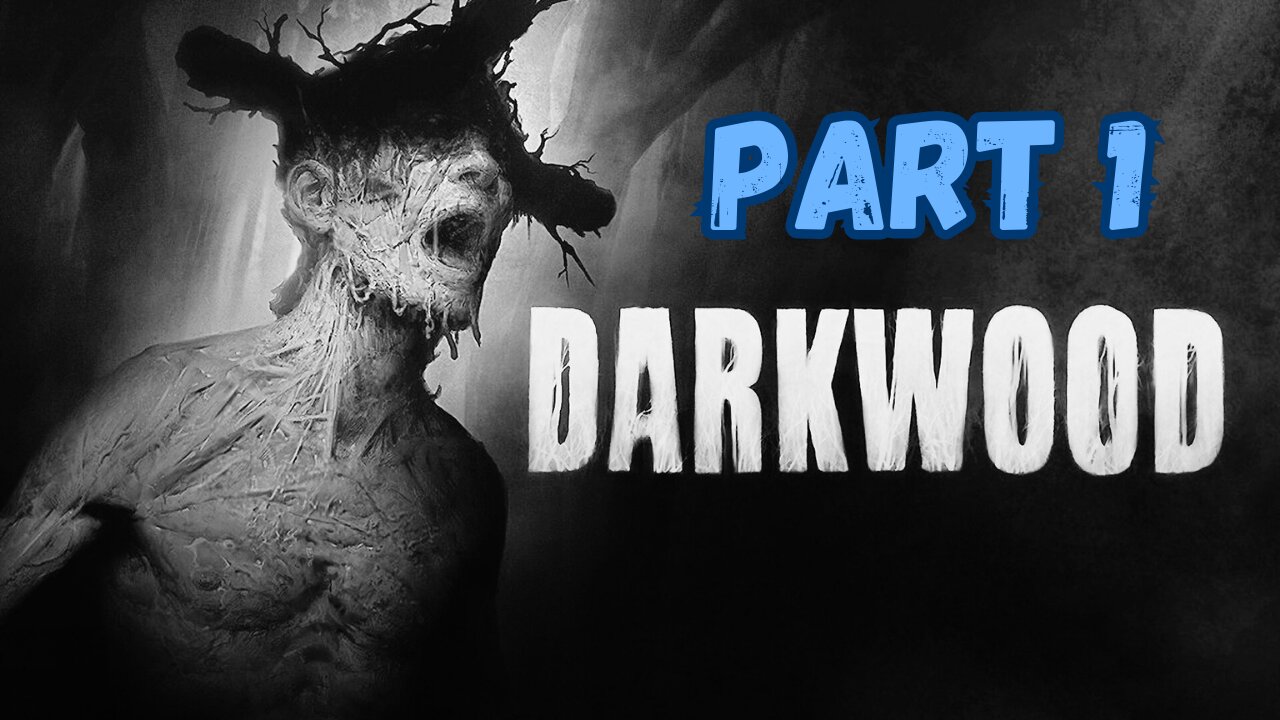 THE ATMOSPHERE IS CRAZY - Darkwood [PART1]