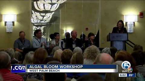 Algal bloom workshop held in West Palm Beach