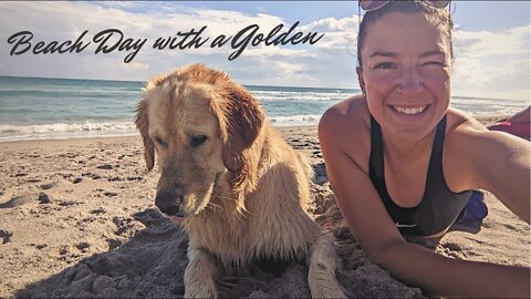 Only Off-Leash Dog Beach in Florida (Hutchinson Island) a day spent in the sun