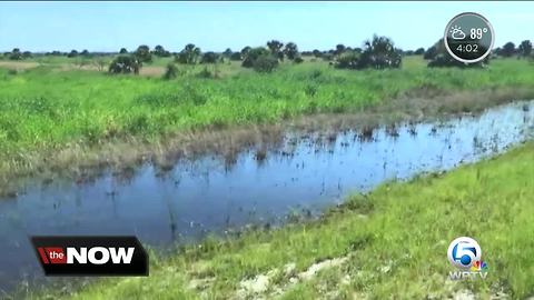 Martin County water farm taking in toxic algae