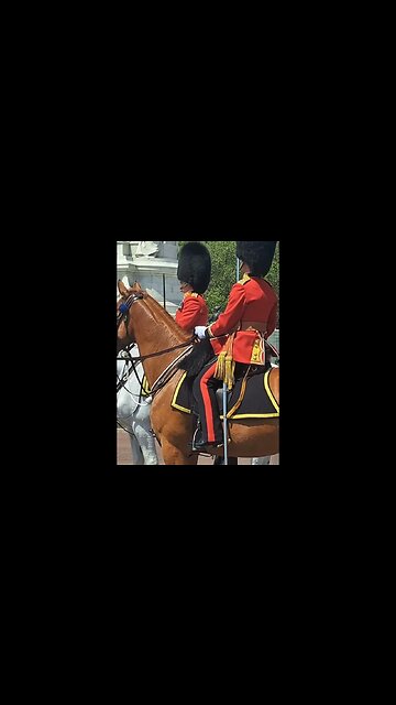 trooping the colour #buckinghampalace 8