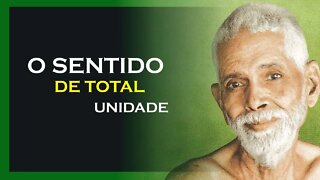 TENHA O SENTIDO DE TOTAL UNIDADE, RAMANA MAHARSHI DUBLADO, MOTIVAÇÃO MESTRE