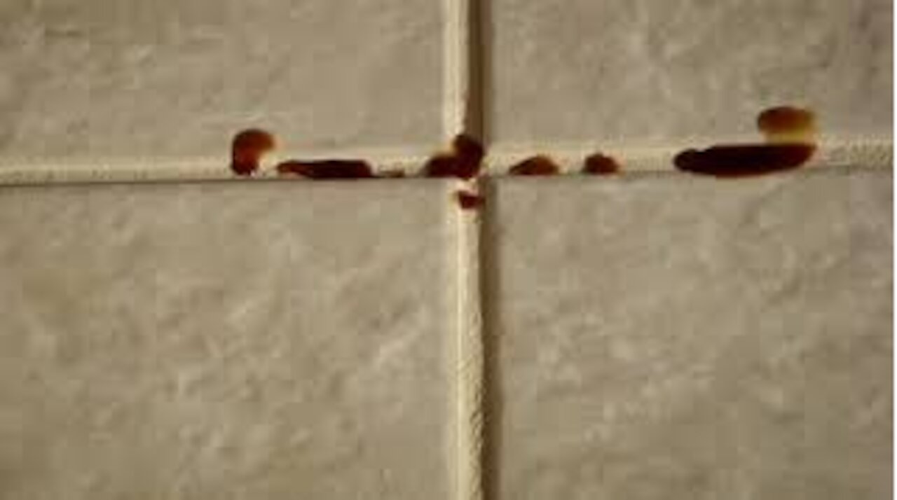 Grout Perfect® Stain Resistant