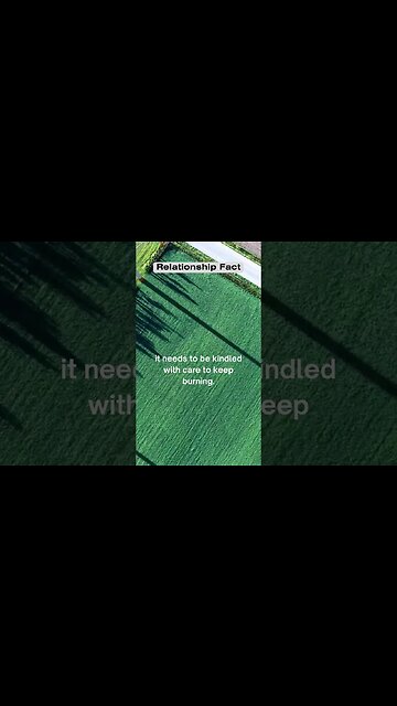 Love is like a campfire #shorts #facts #relationshipfacts