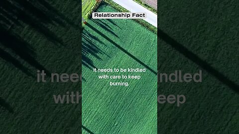 Love is like a campfire #shorts #facts #relationshipfacts