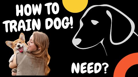 How to Train DOG the Basics