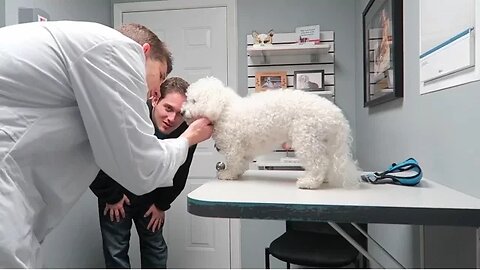 QUINCY SINGS TO THE VET!