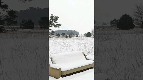 The seat of winter #shorts #relaxingmusic #winter