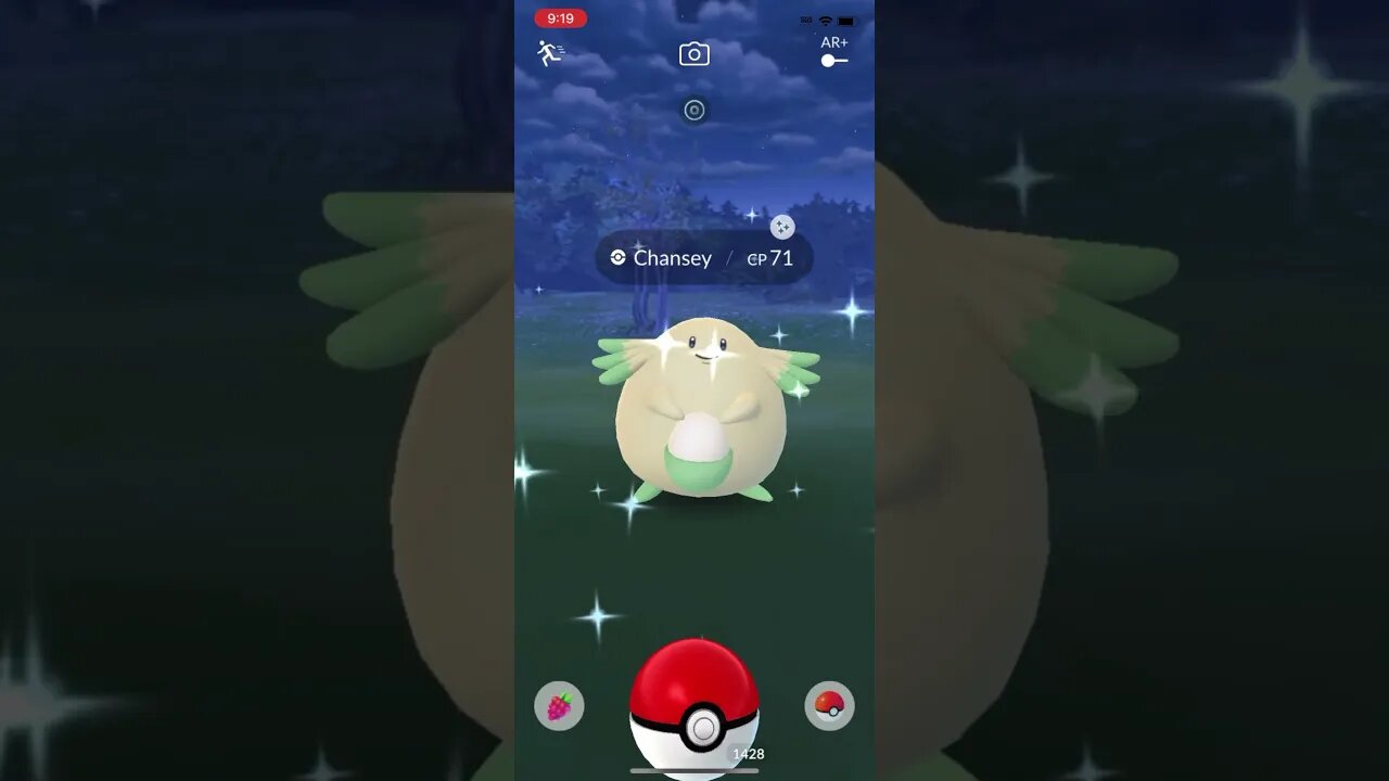Shiny Compilation