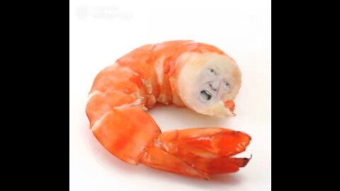 The Ultimate Donald Trump Shrimp Meme! 🍤
