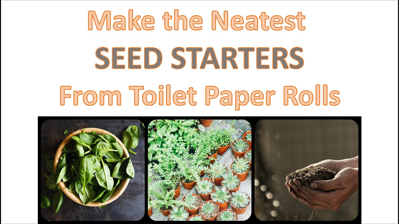 Make the Neatest SEED STARTERS from Toilet Paper Rolls - Free and Biodegradable