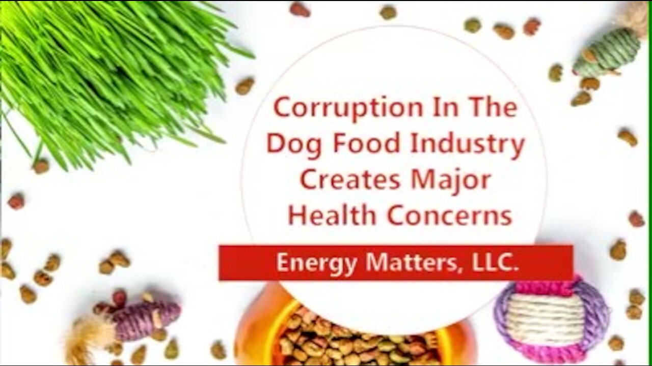 Corruption In The Dog Food Industry Creates Major Health Concerns