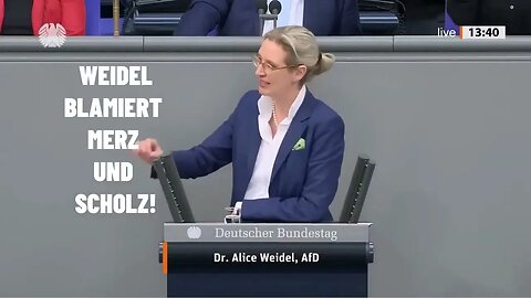 ALICE WEIDEL blamiert MERZ UND SCHOLZ!