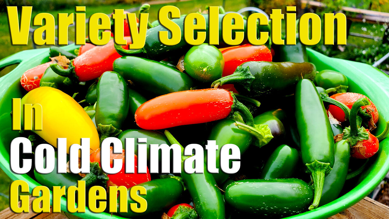 Vegetable Variety Selection In Northern & Cold Climate Gardens