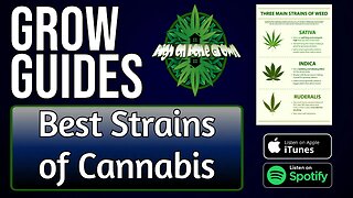 Best Cannabis Strains | Grow Guides Episode 44