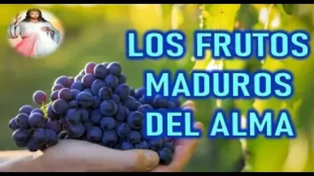 LOS FRUTOS MADUROS DEL ALMA - JESUCRISTO REY A DANIEL DE MARIA