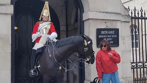 Horse made it clear don't come near #horseguardsparade