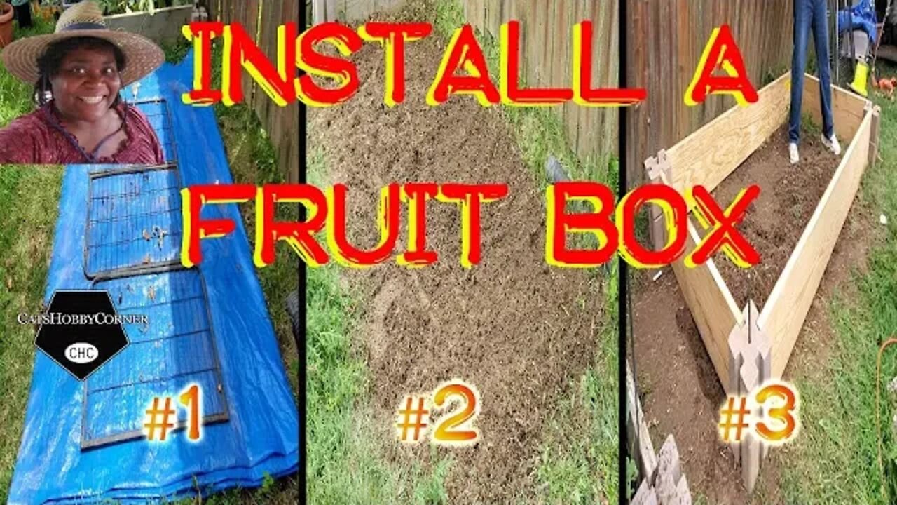 Let's Install A DIY Fruit Garden Box