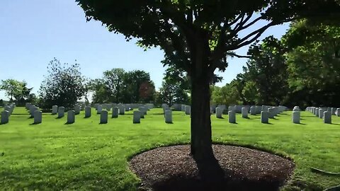 Purple Heart Honor Flight