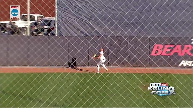 Arizona softball ready to put last season behind them