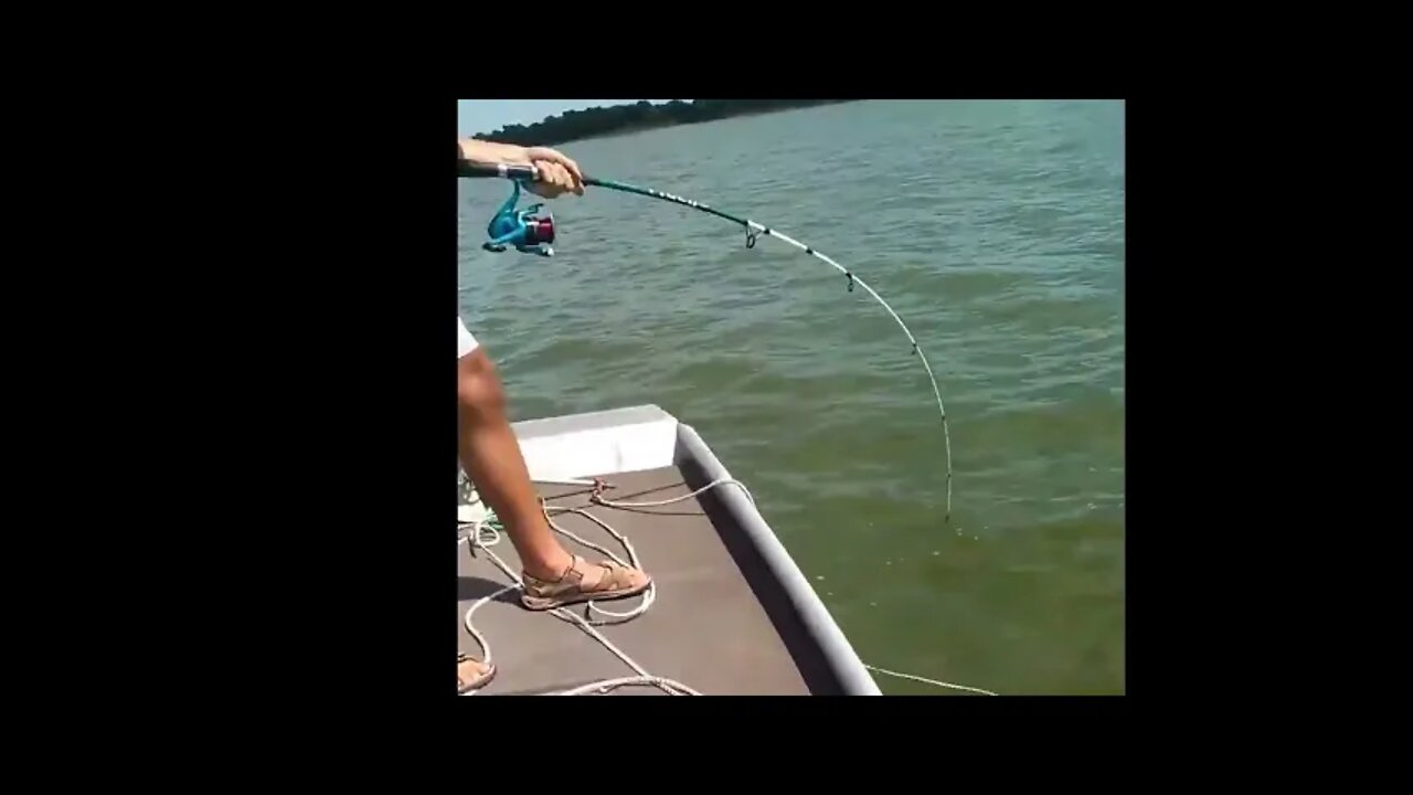 17lb test line vs monster blue catfish