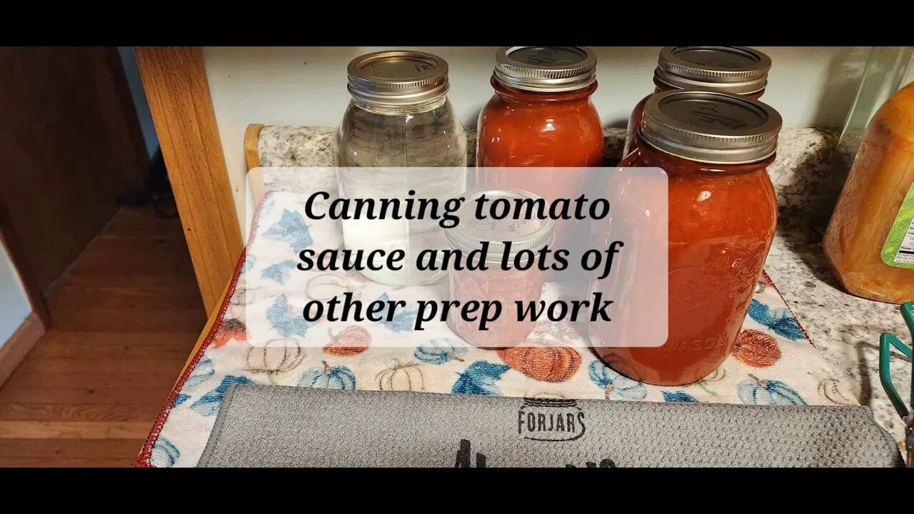 Canning tomato sauce and lots of other prep work too come along with me #everybitcountschallenge