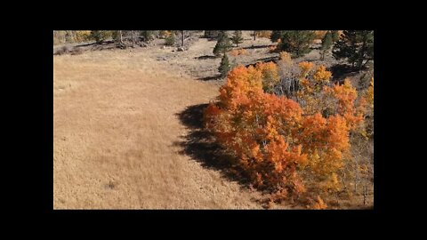 Time To Say Goodbye To The Climate