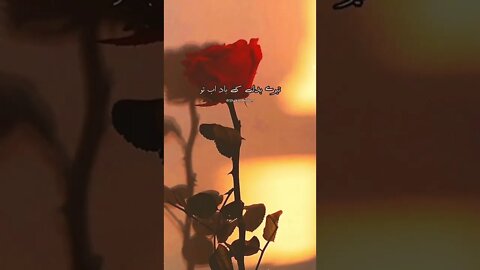 || Very Heart Touching Poetry || Best Lines || shayari