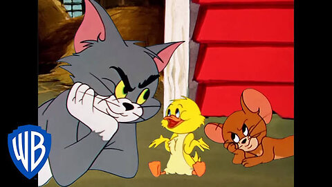 Tom & jerry kids show | Best of little quacker