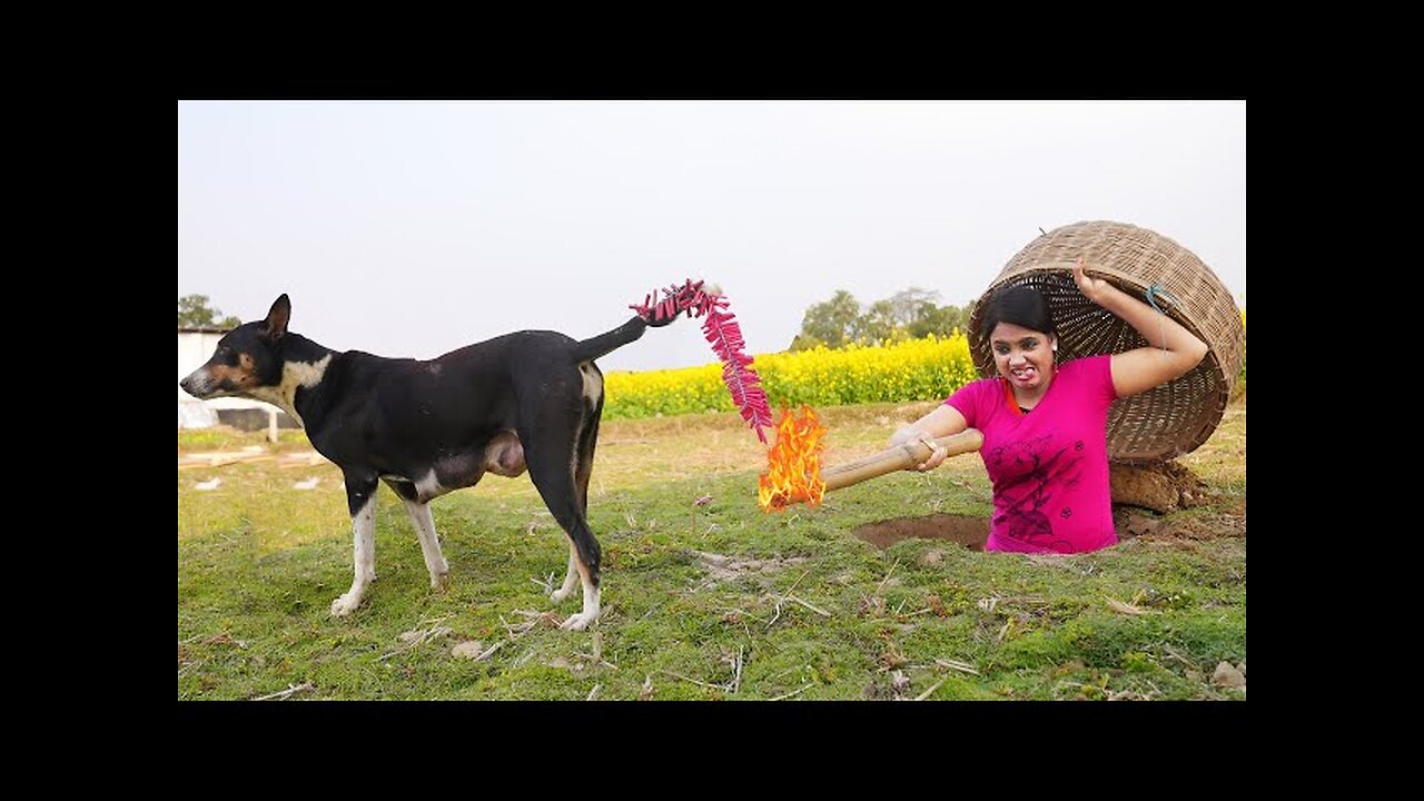 Happy New Year 2024 Must Watch New Special Comedy Video 2023