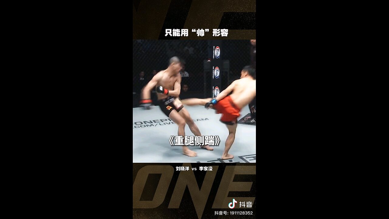 kungfu plus ufc