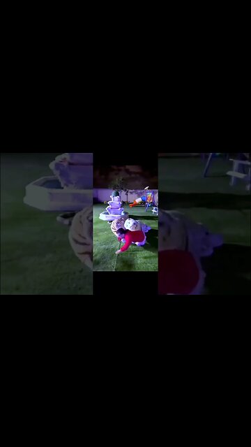 I can't stop laughing 😆 🤣 #funny