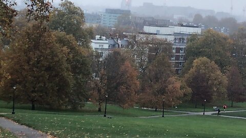 Primrose hill